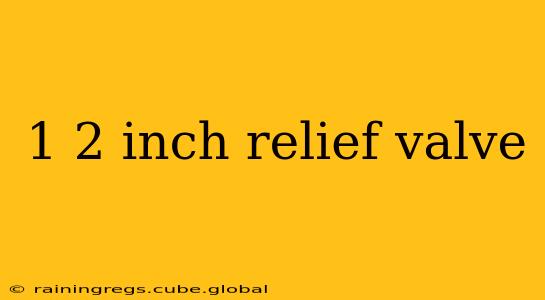 1 2 inch relief valve