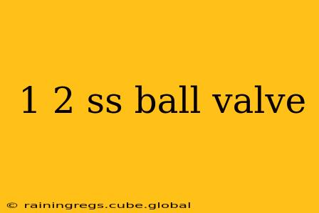 1 2 ss ball valve