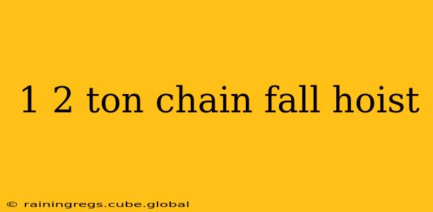 1 2 ton chain fall hoist