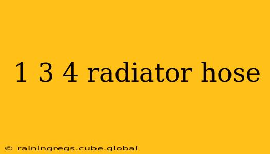 1 3 4 radiator hose