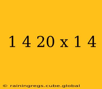 1 4 20 x 1 4