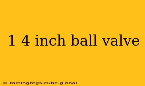 1 4 inch ball valve
