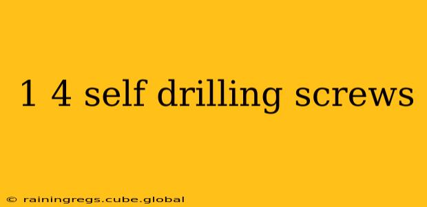 1 4 self drilling screws