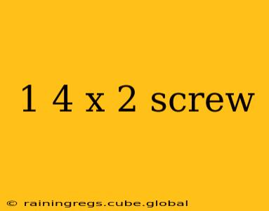 1 4 x 2 screw
