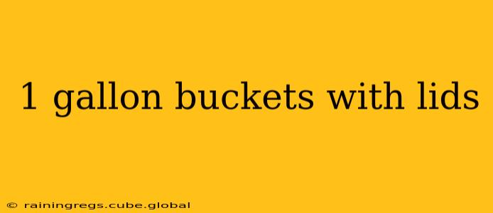 1 gallon buckets with lids