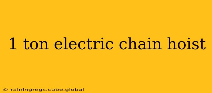1 ton electric chain hoist