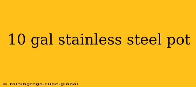 10 gal stainless steel pot