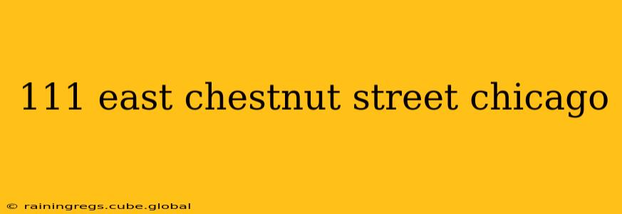 111 east chestnut street chicago