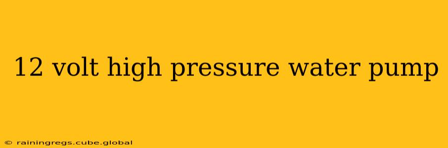 12 volt high pressure water pump