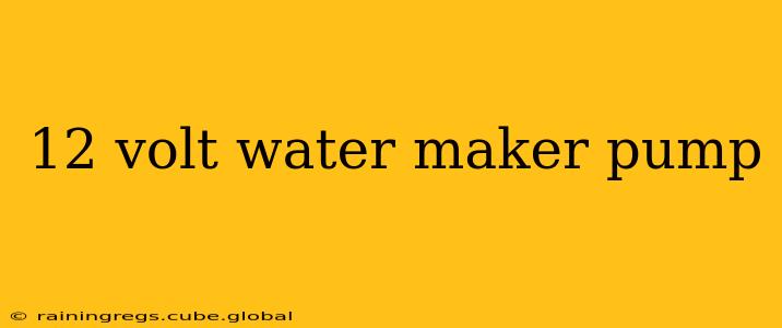 12 volt water maker pump