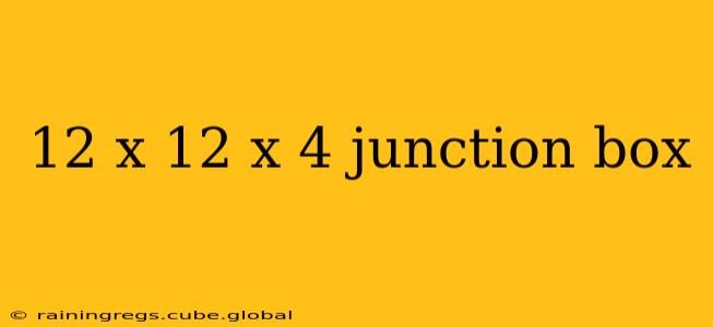 12 x 12 x 4 junction box