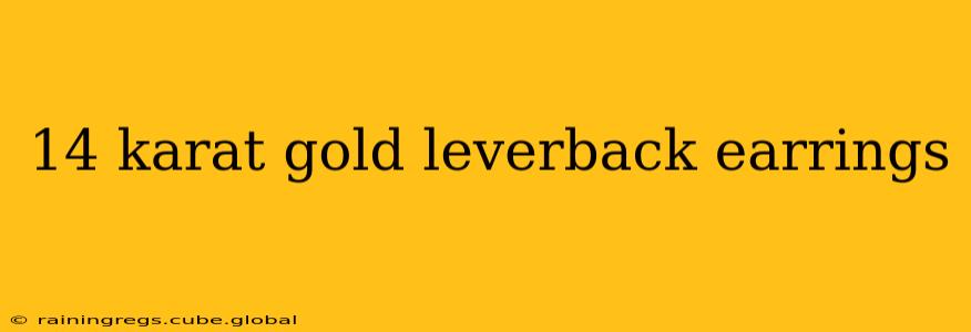 14 karat gold leverback earrings