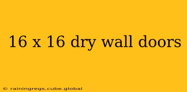 16 x 16 dry wall doors