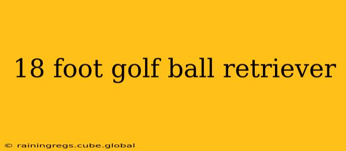 18 foot golf ball retriever