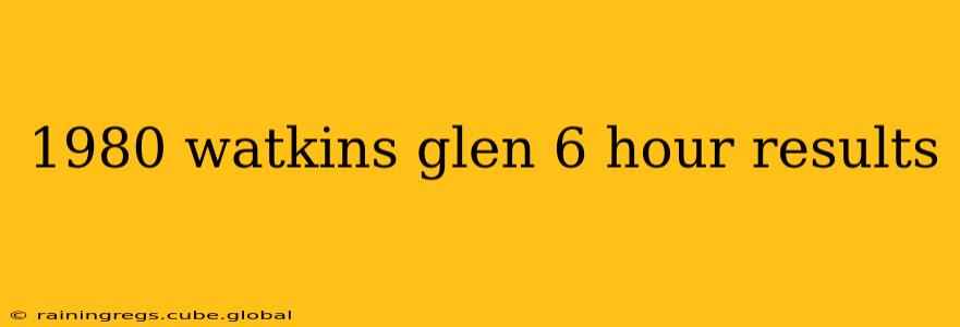 1980 watkins glen 6 hour results