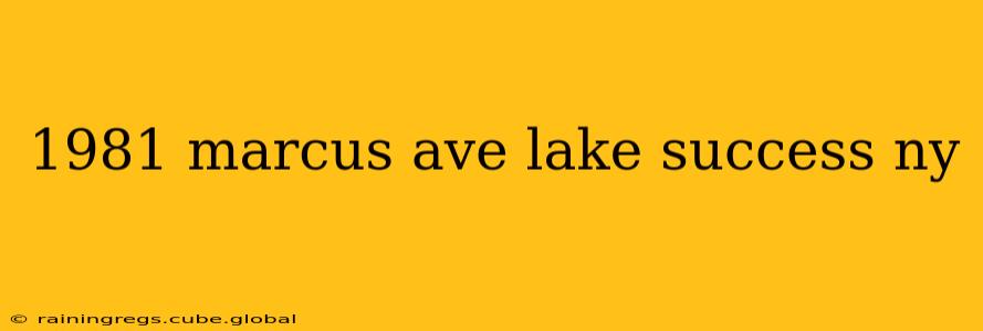 1981 marcus ave lake success ny