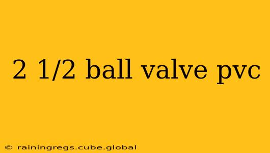 2 1/2 ball valve pvc