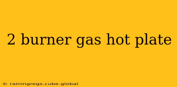 2 burner gas hot plate