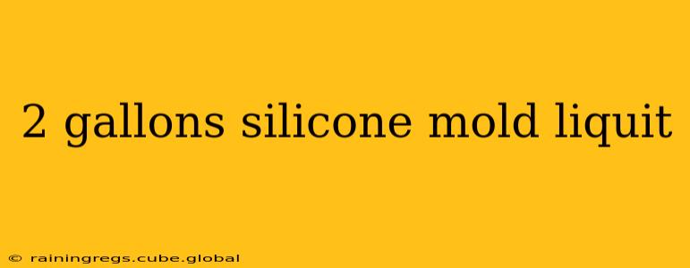 2 gallons silicone mold liquit