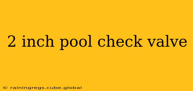 2 inch pool check valve