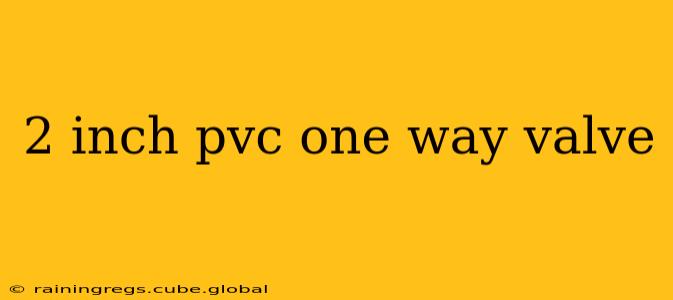 2 inch pvc one way valve