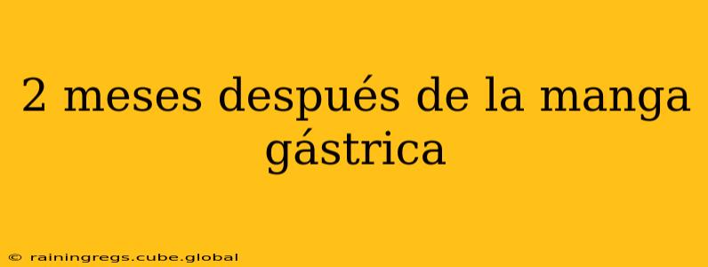 2 meses después de la manga gástrica