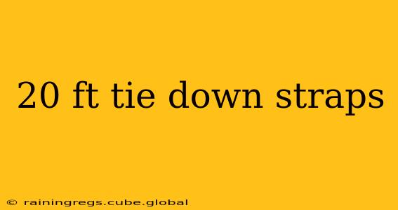20 ft tie down straps
