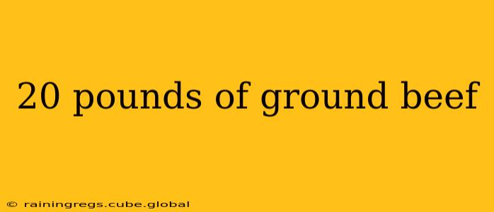 20 pounds of ground beef