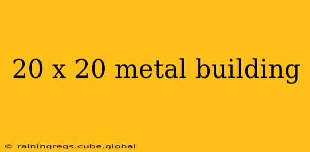 20 x 20 metal building