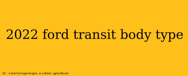 2022 ford transit body type