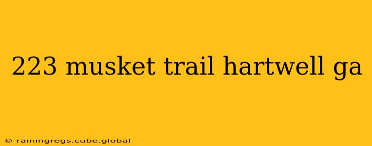 223 musket trail hartwell ga