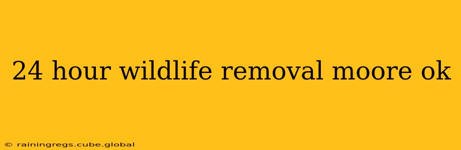 24 hour wildlife removal moore ok