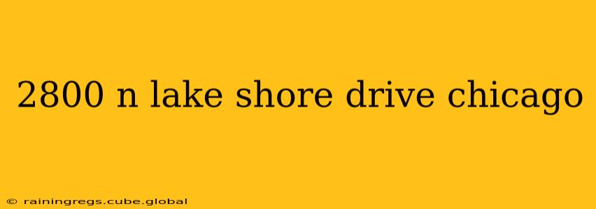 2800 n lake shore drive chicago
