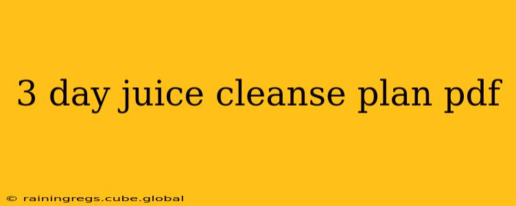 3 day juice cleanse plan pdf