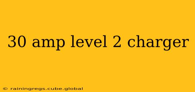 30 amp level 2 charger