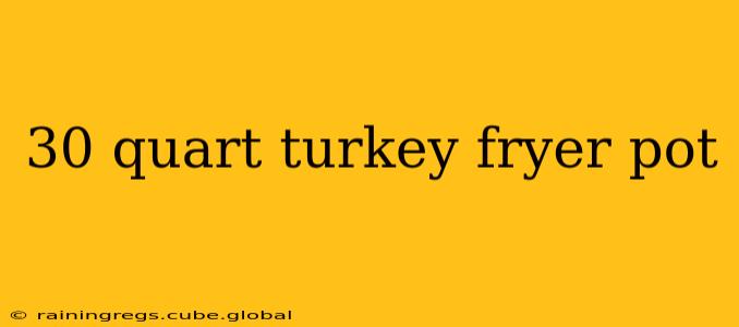 30 quart turkey fryer pot