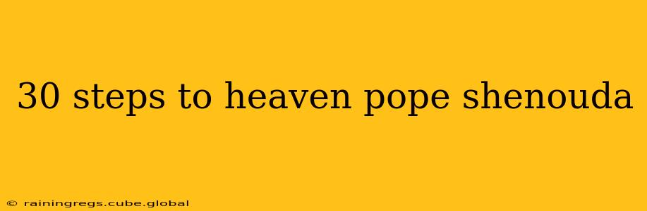 30 steps to heaven pope shenouda