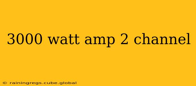 3000 watt amp 2 channel