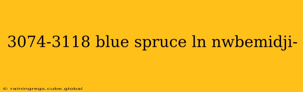 3074-3118 blue spruce ln nwbemidji-