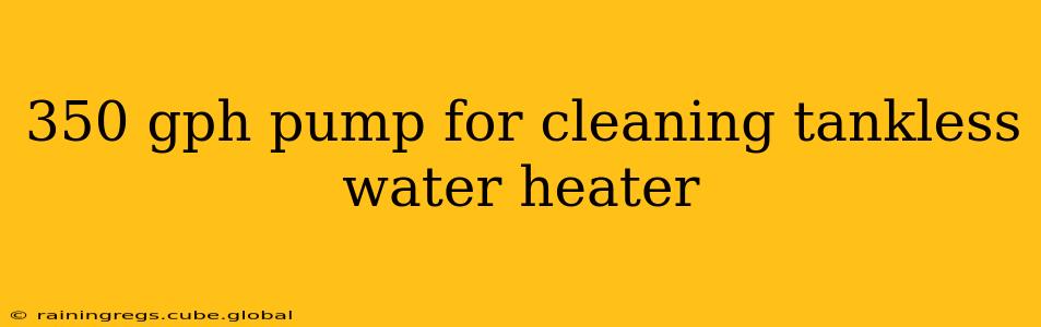 350 gph pump for cleaning tankless water heater