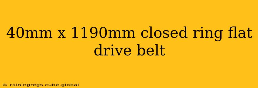 40mm x 1190mm closed ring flat drive belt