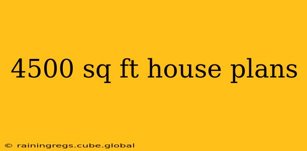 4500 sq ft house plans