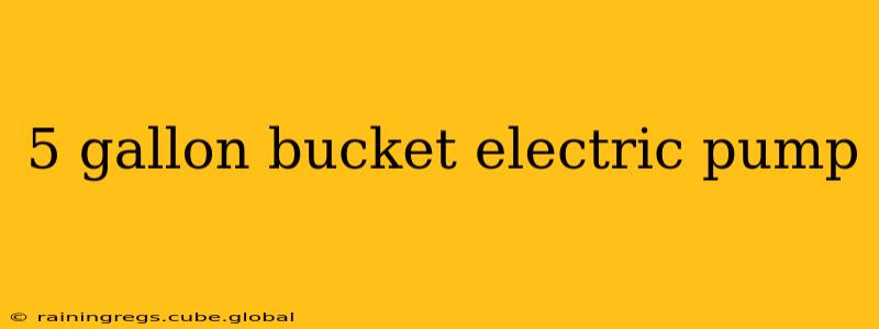 5 gallon bucket electric pump