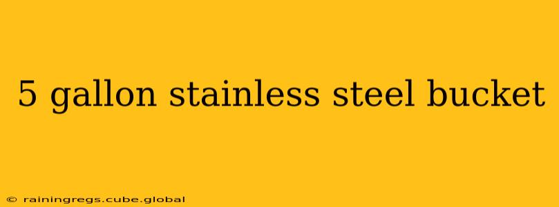 5 gallon stainless steel bucket