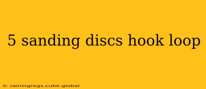 5 sanding discs hook loop