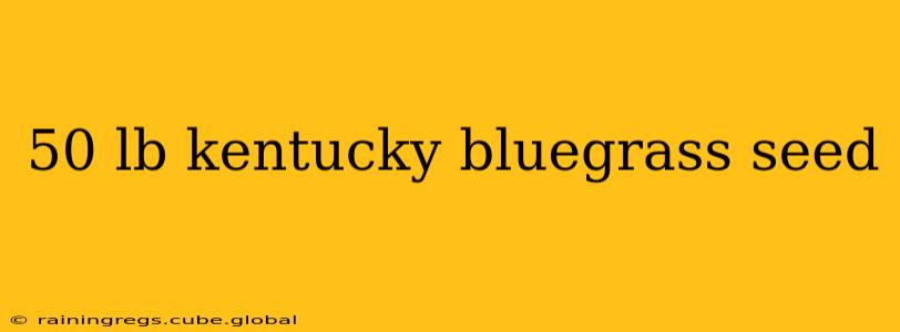 50 lb kentucky bluegrass seed