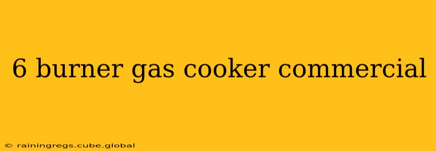 6 burner gas cooker commercial