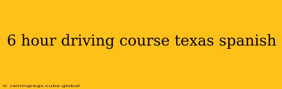 6 hour driving course texas spanish