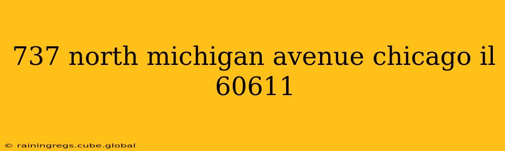 737 north michigan avenue chicago il 60611
