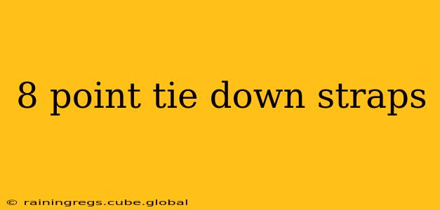 8 point tie down straps